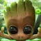 Grut